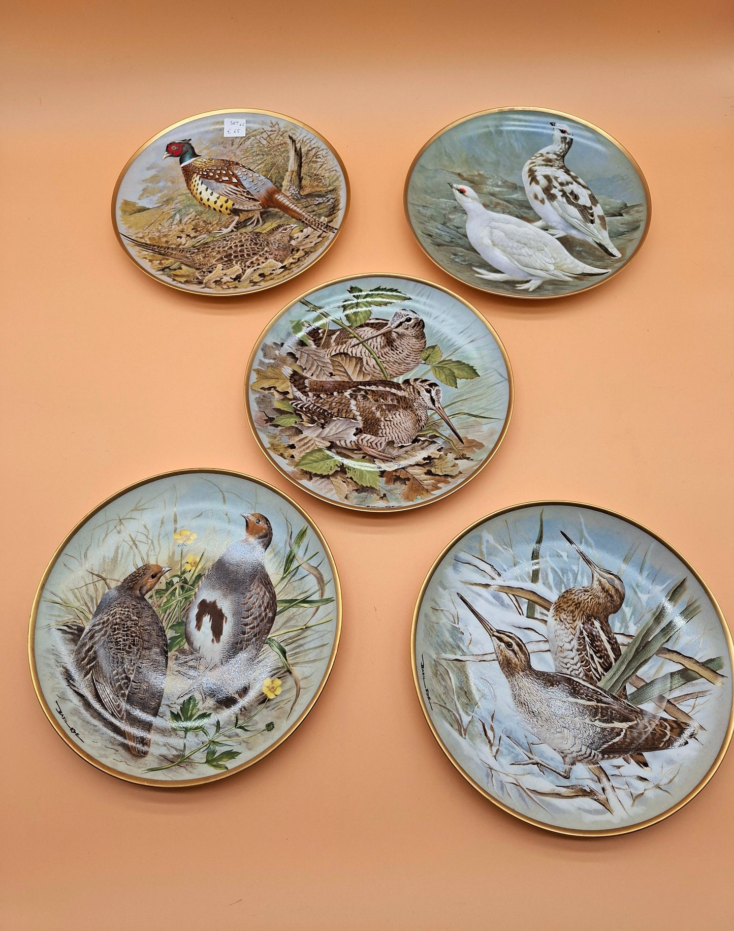 Set van 5 Borden – Game Birds of the World – Franklin Porcelain (1979)
