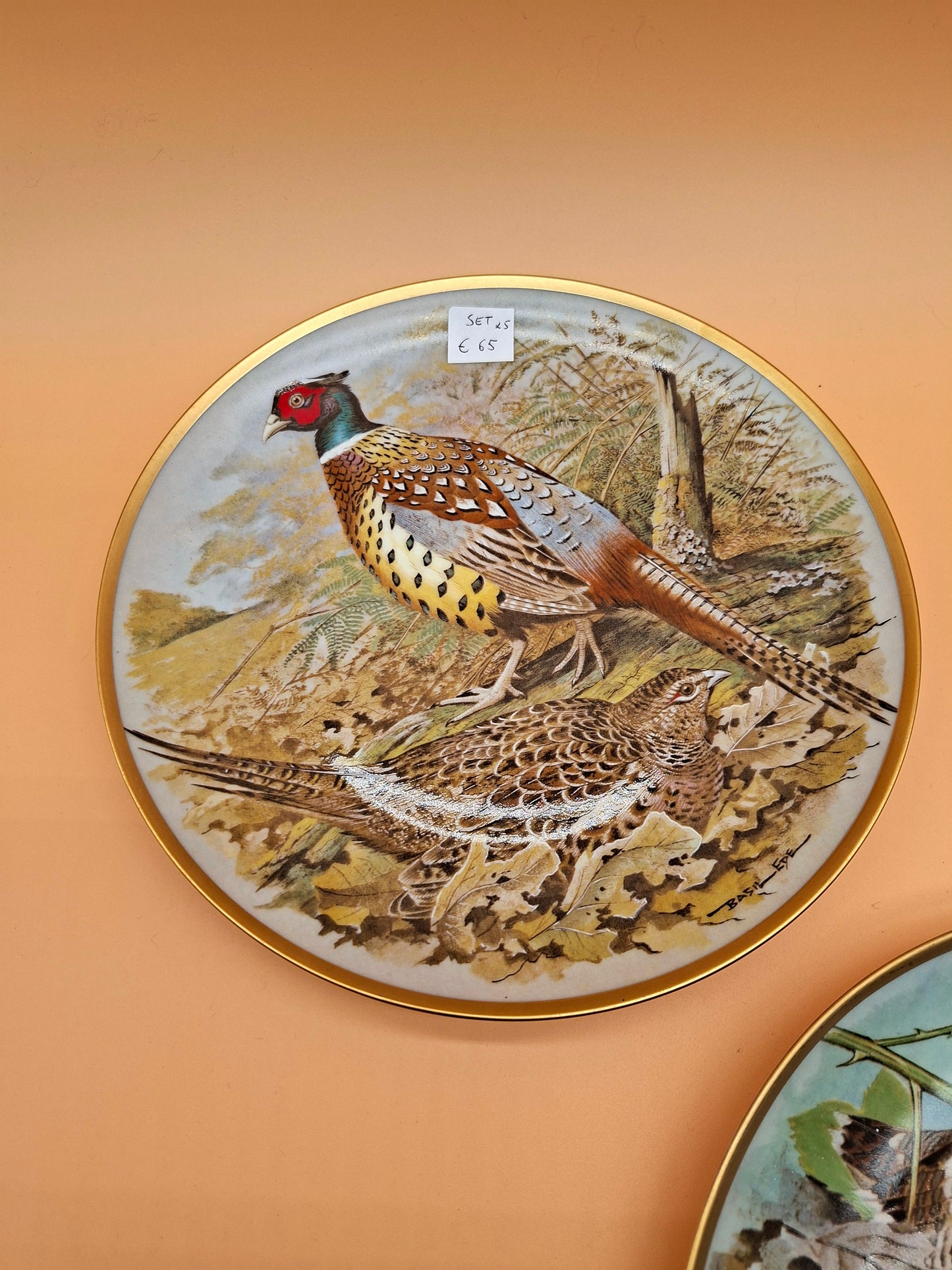 Set van 5 Borden – Game Birds of the World – Franklin Porcelain (1979)