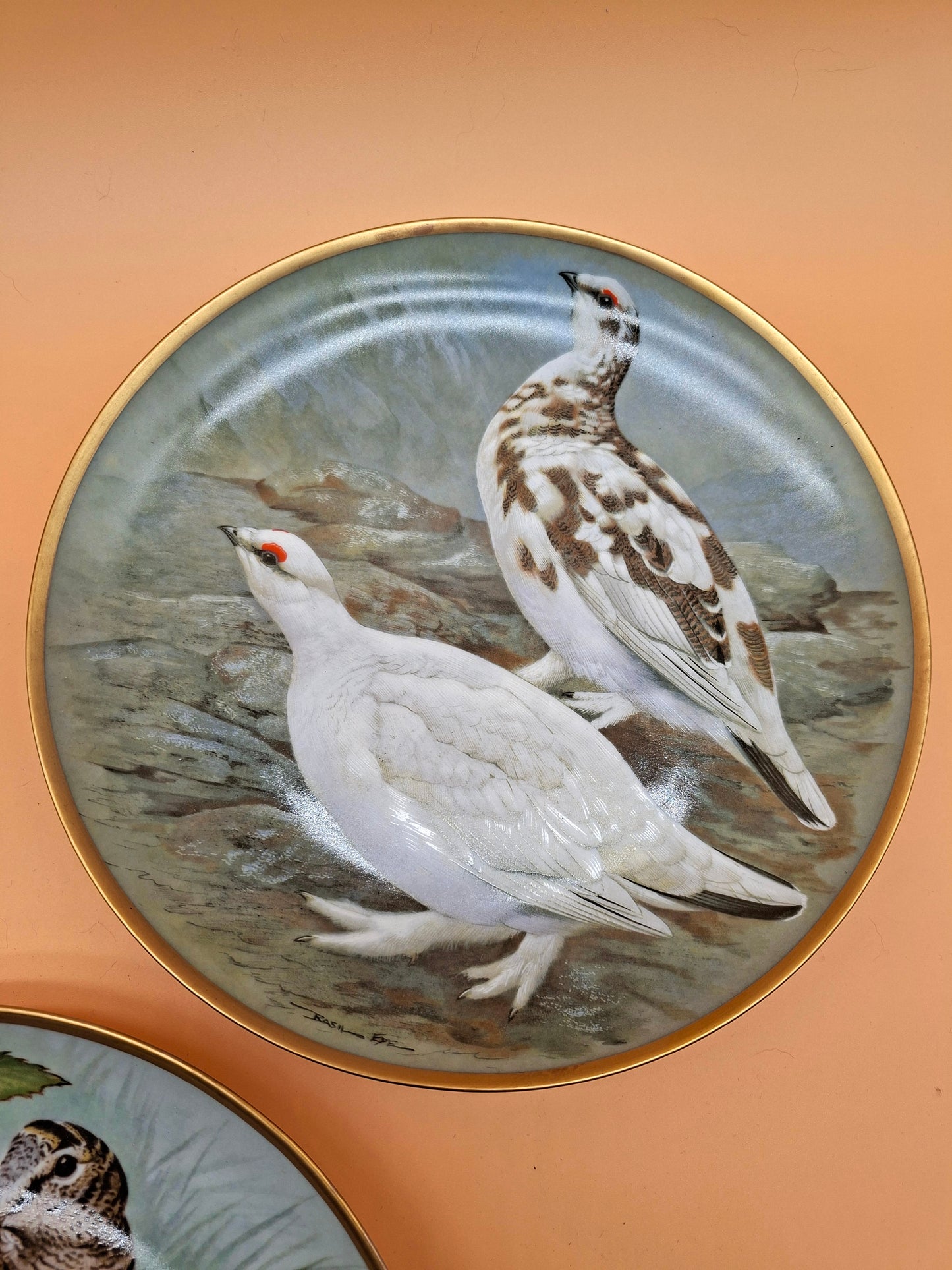 Set van 5 Borden – Game Birds of the World – Franklin Porcelain (1979)