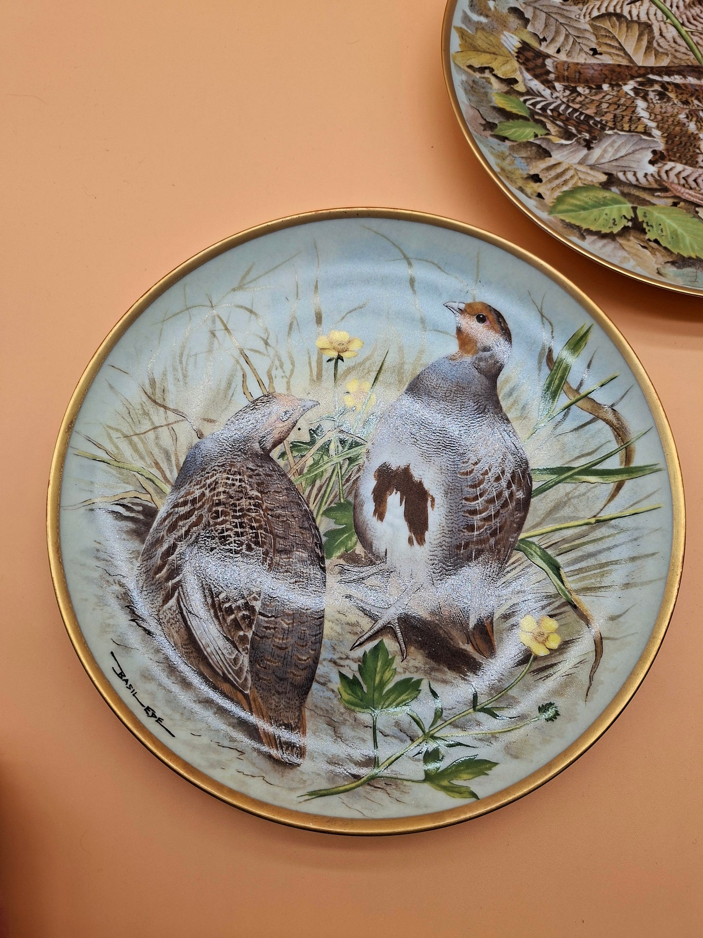 Set van 5 Borden – Game Birds of the World – Franklin Porcelain (1979)